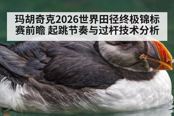 玛胡奇克2026世界田径终极锦标赛前瞻 起跳节奏与过杆技术分析 - jiuyou